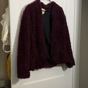 Fall teddy coat